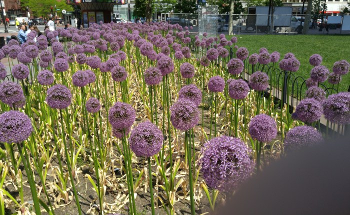 Dedication and Inspiration